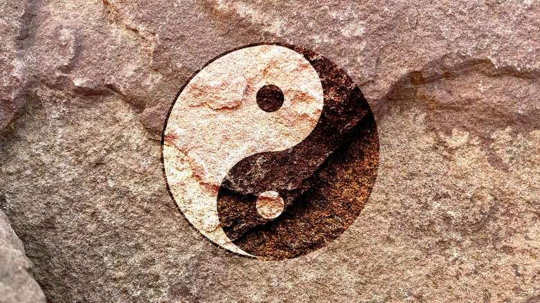 Foundations of Yin Yoga