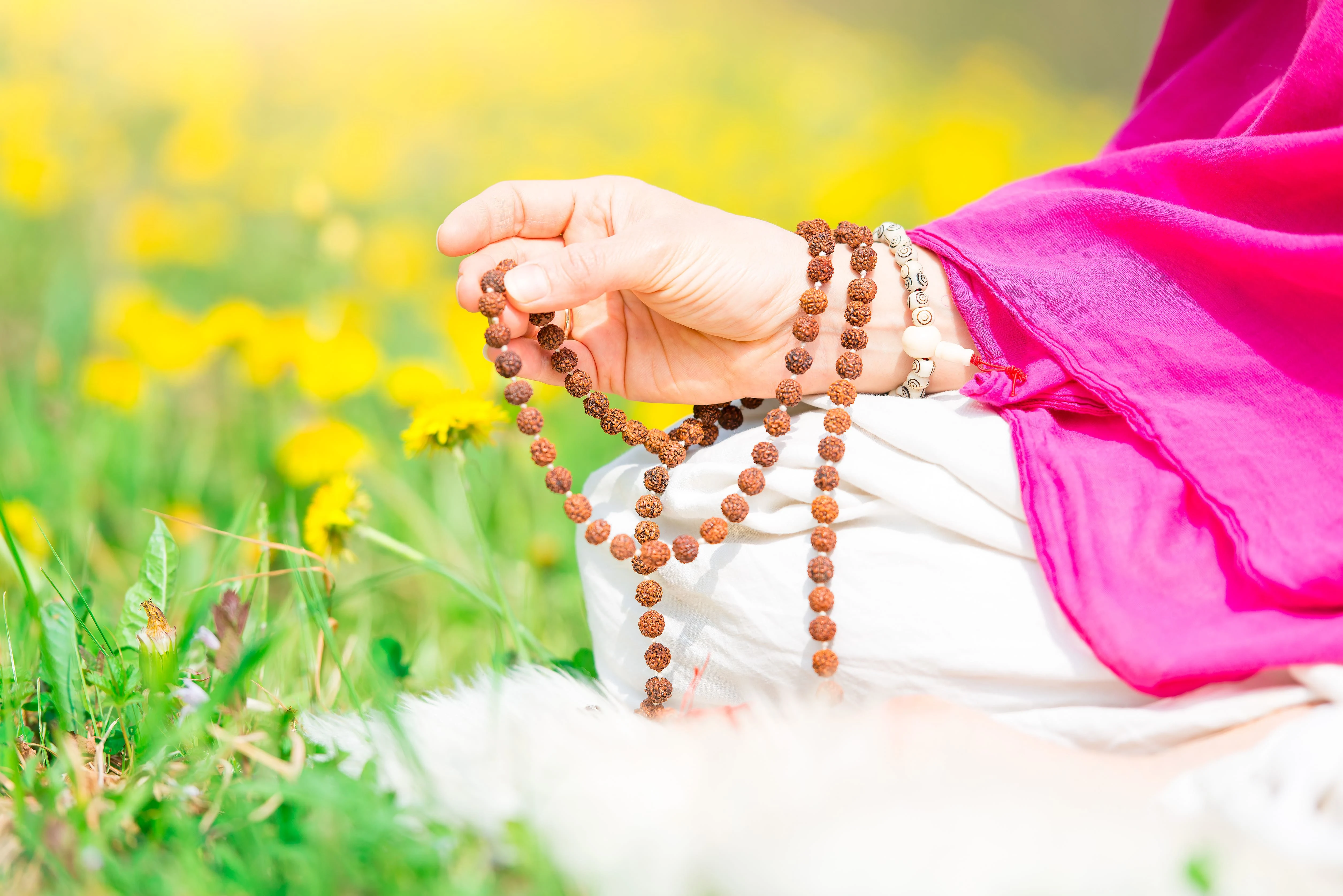 Daily Integration & Practice